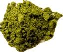 Moringa CP #2