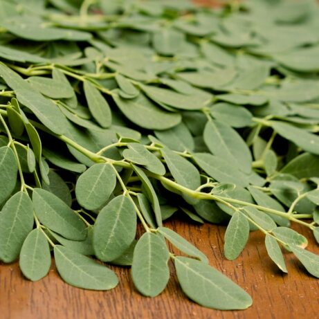 Fresh Moringa Leaves For Sale