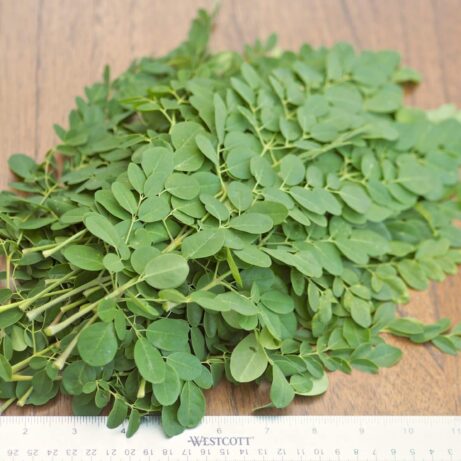 4 oz of Moringa Oleifera Leaves