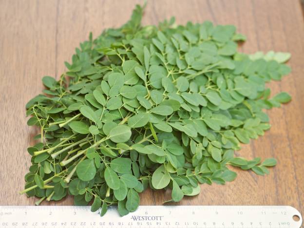 4 oz of Moringa Oleifera Leaves