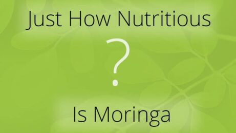 how Nutritious is Moringa Oleifera