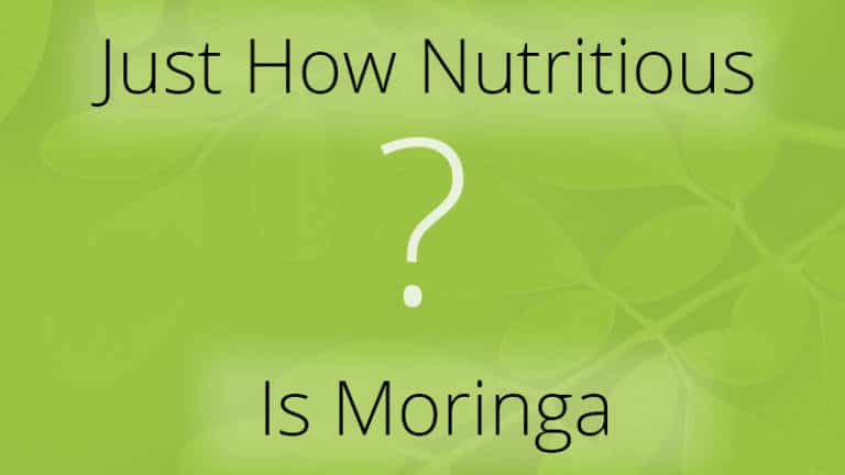 how Nutritious is Moringa Oleifera