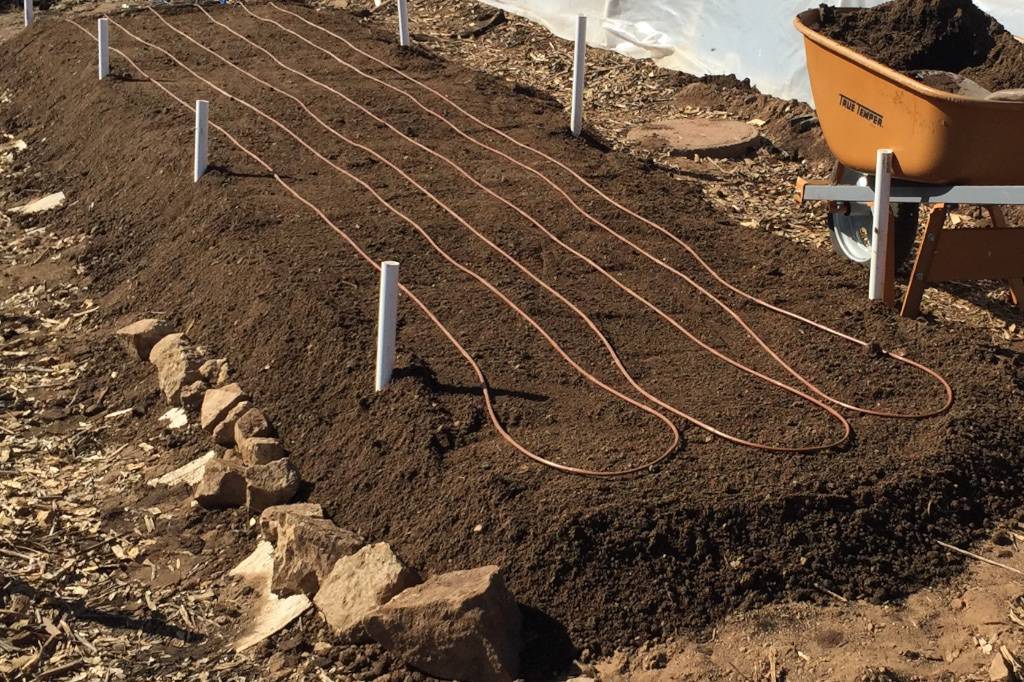 Moringa plot ready to plant