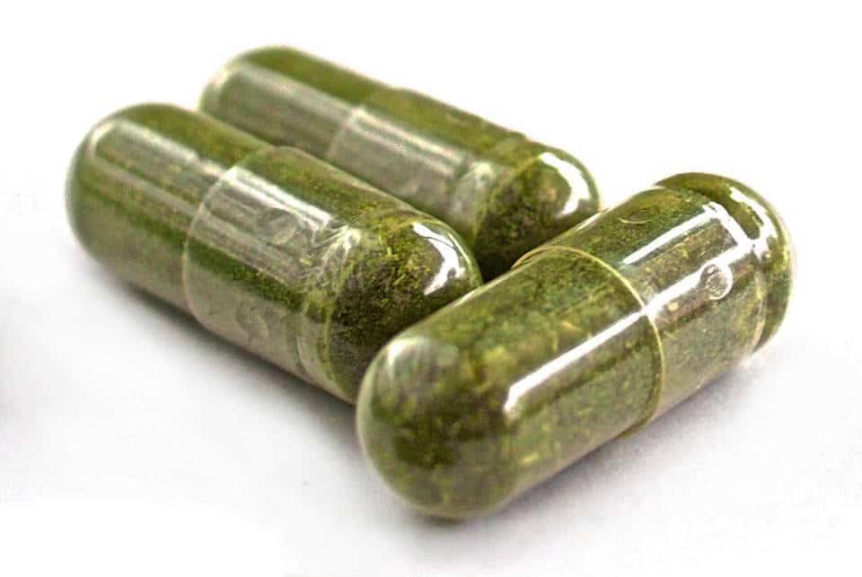 moringa capsules from usda certified organic moringa