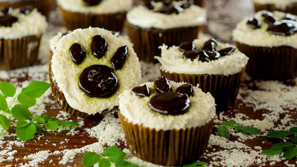 Moringa Cupcakes