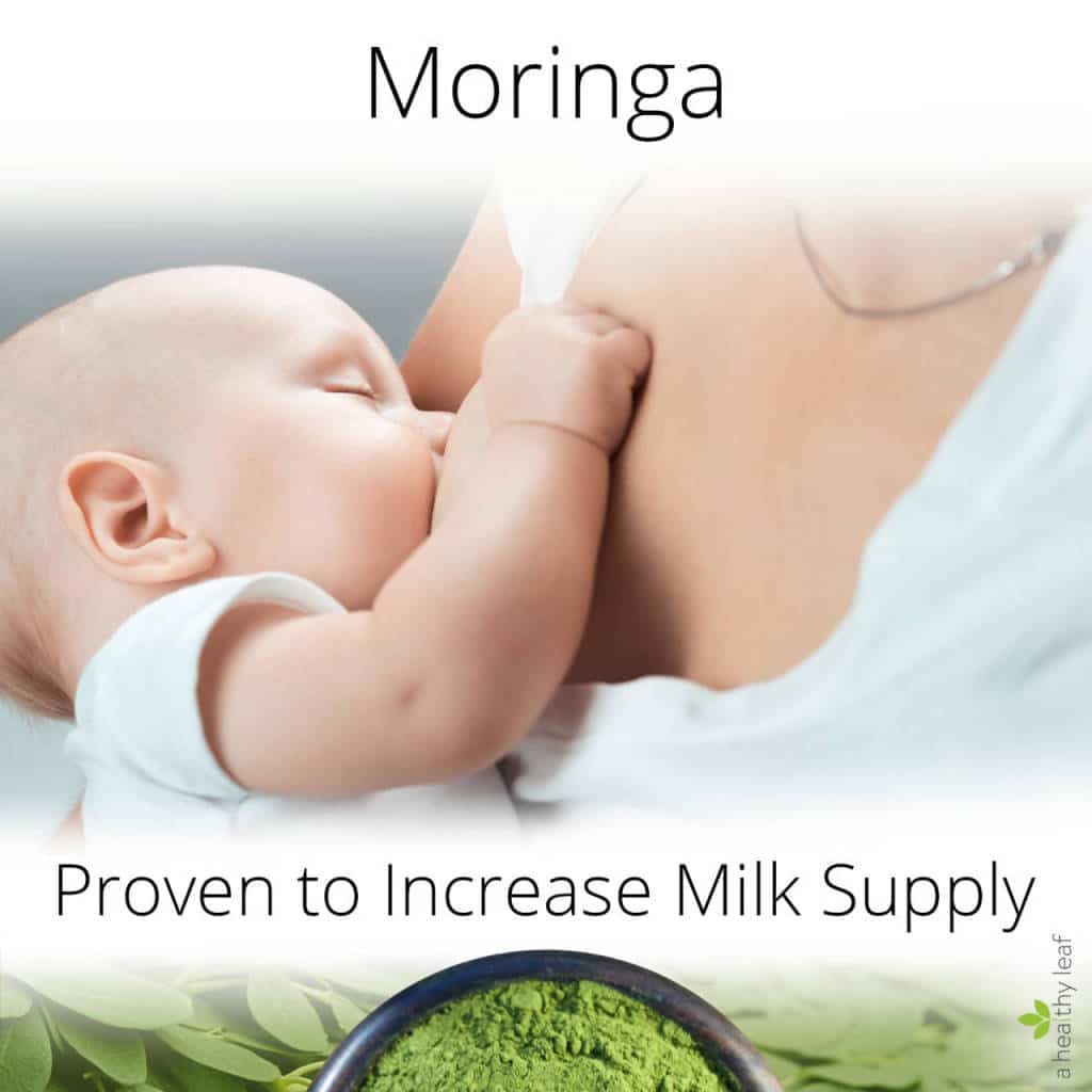 Increase Milk Supply: Moringa for Breastfeeding