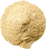Moringa CP #6