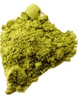 Moringa CP #8