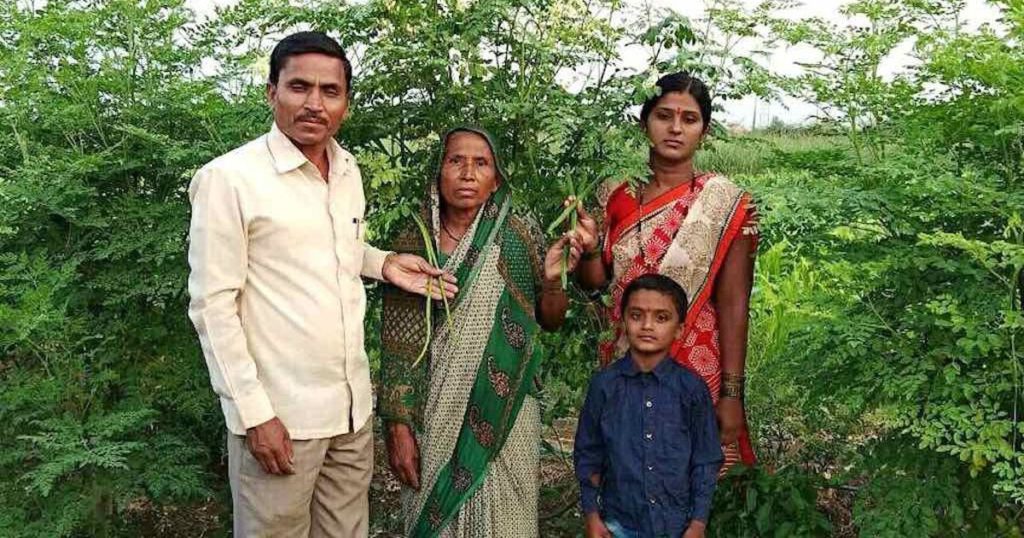 Small Scale Farmers Prosper with Moringa