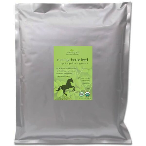 Moringa for Horses