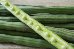 Moringa Seed Pods