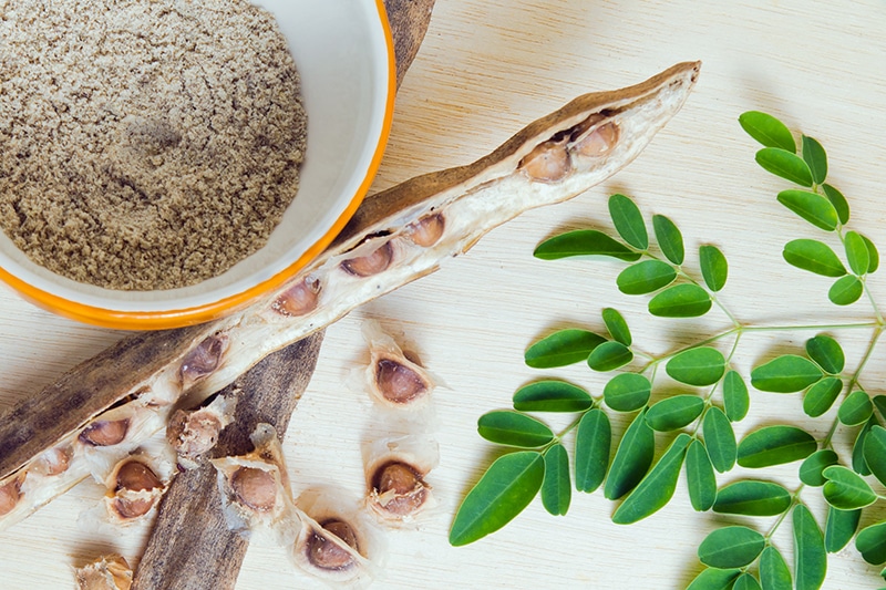 Moringa Seeds