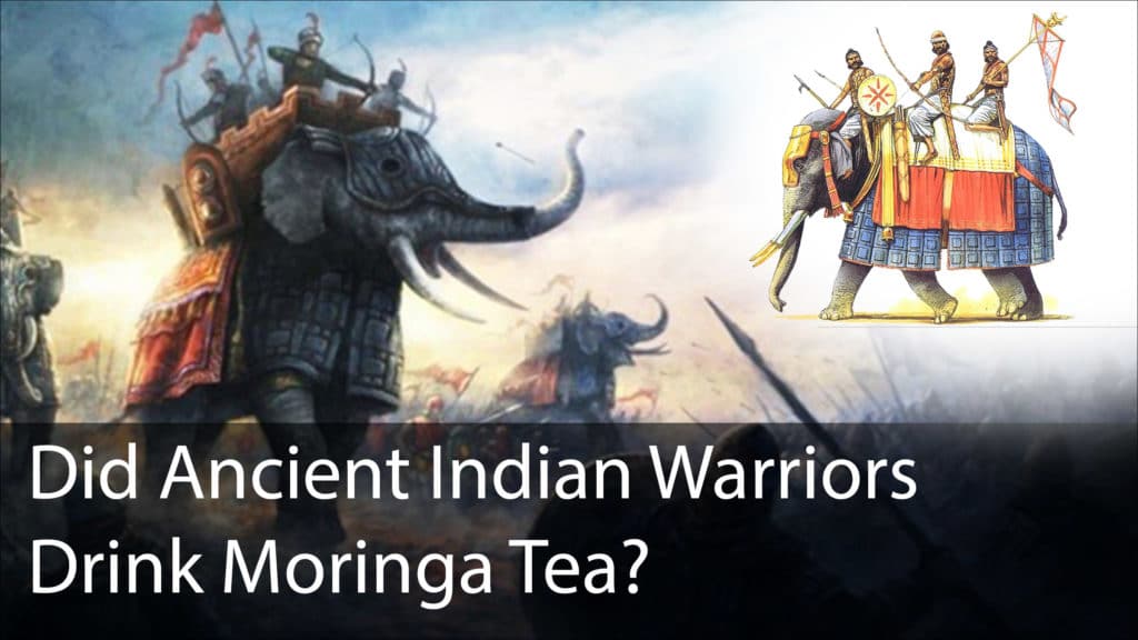 Mauryan Warriors Moringa Tea