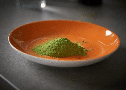 Moringa Oleifera May Help Reverse Alzheimer's Disease According to Latest Research